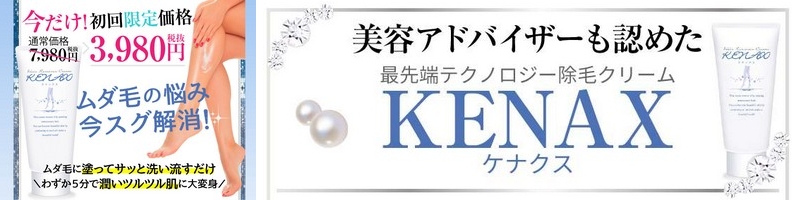 �Ő�[���уN���[���uKENAX�i�P�i�N�X�j�v���T�C�g